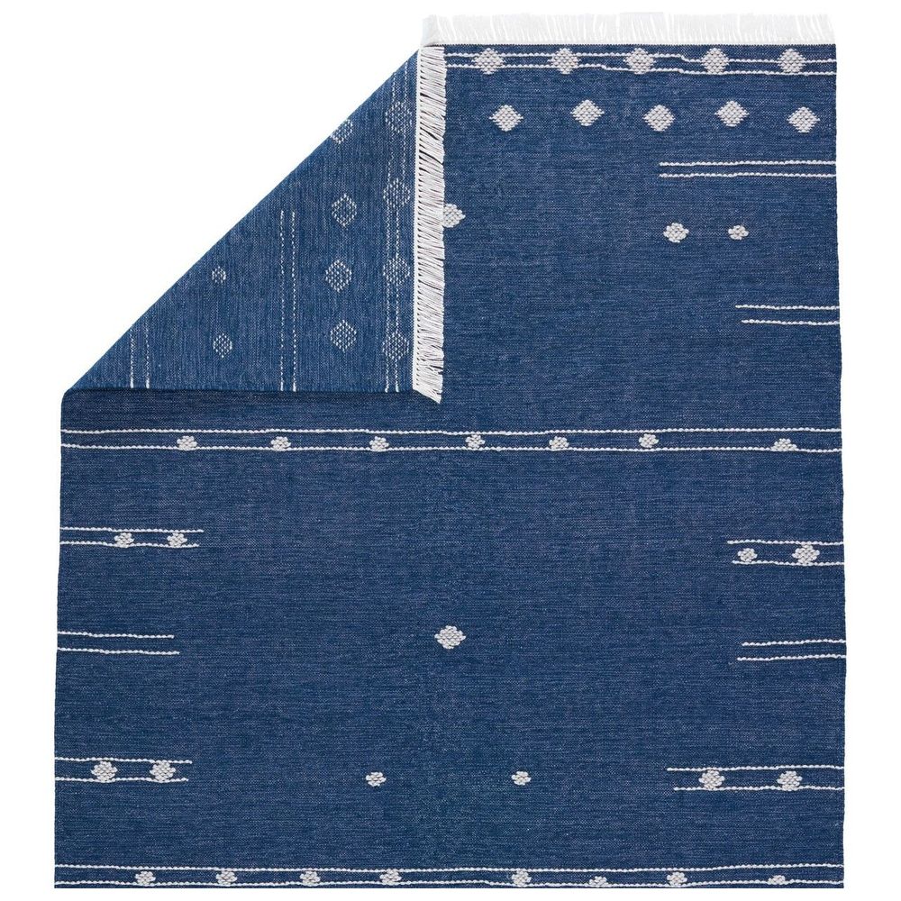 Outdoor Rugs Whittakern Geometric Blue/ White Area Rug (4'X6')