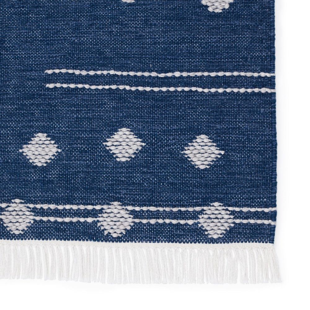 Outdoor Rugs Whittakern Geometric Blue/ White Area Rug (2'X3')