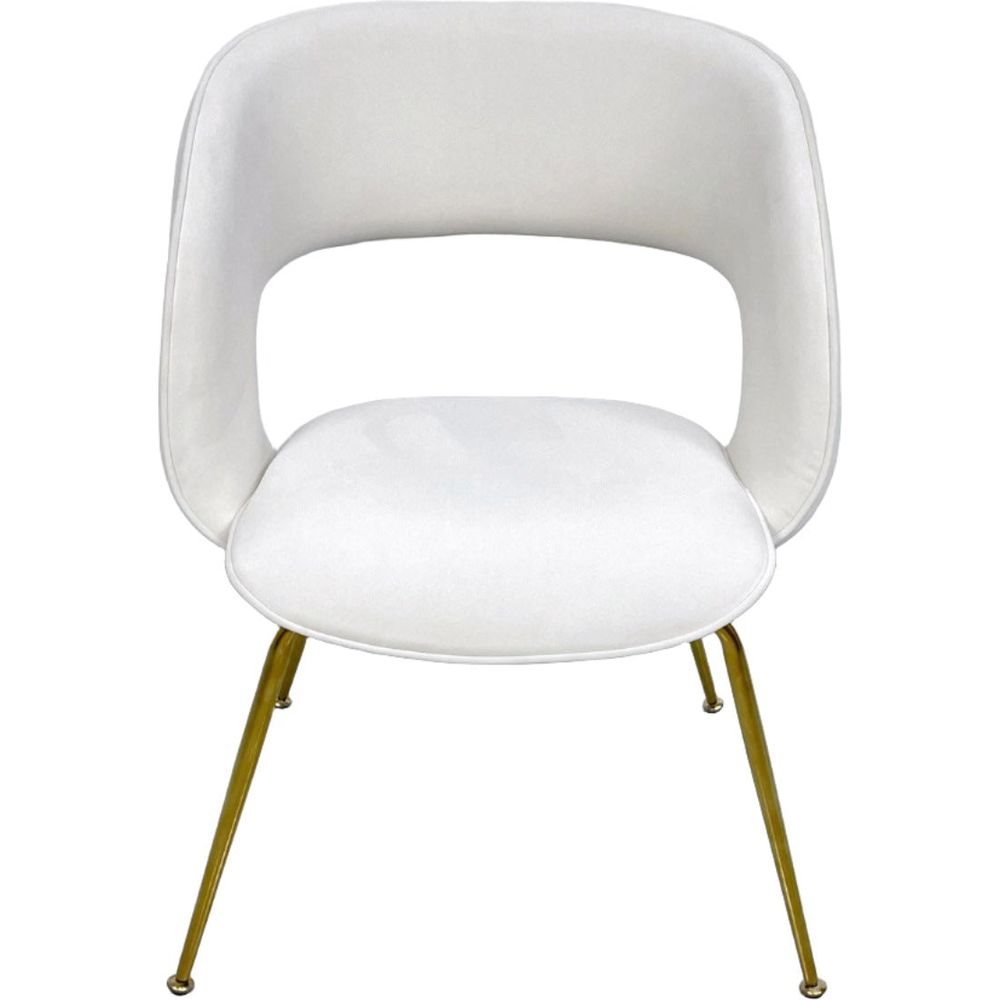 Lorna Dining Chair-France & Son-FMC062BGEGLD-Dining Chairs-4-France and Son