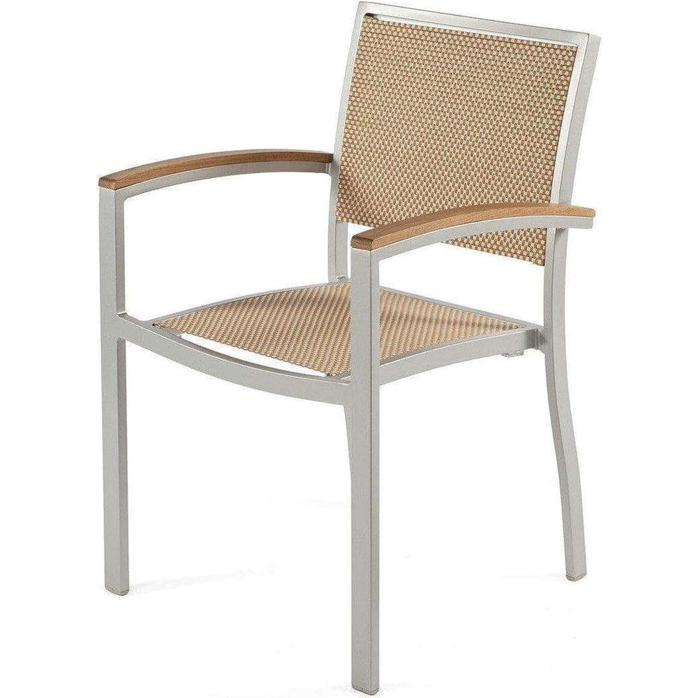 Modern Mayer Outdoor Arm Chair